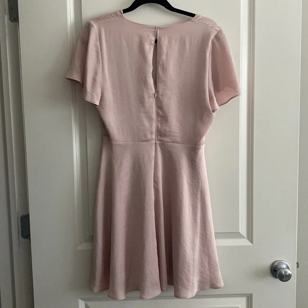 Pink Express Dress - Picture 2 of 4